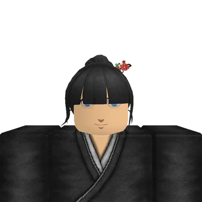 Mirror Ninja (Reflection)
